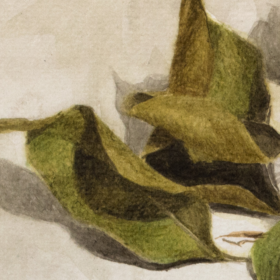 Spring of Stubborness, detail